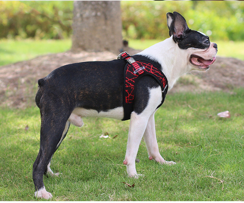 Comfort Control Chest Harness & Leash Set – Happier, Safer Walks for Your Dog