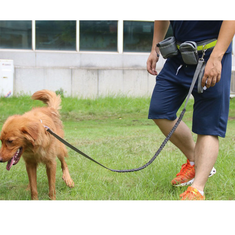 Adjustable Hands-Free Dog Leash – Walk, Run & Train Comfortably with Your Pup