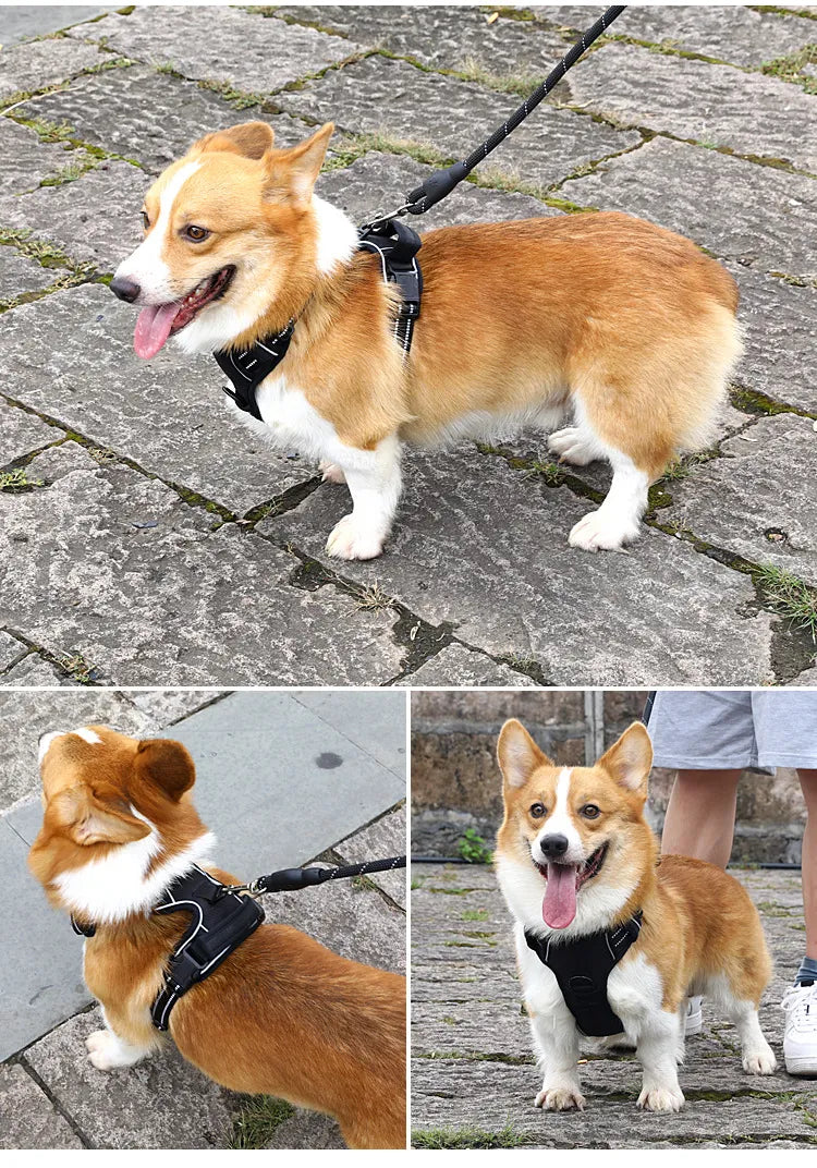Breathable No-Pull Dog Harness with Reflective Strips – Safe, Comfortable & Walk-Ready