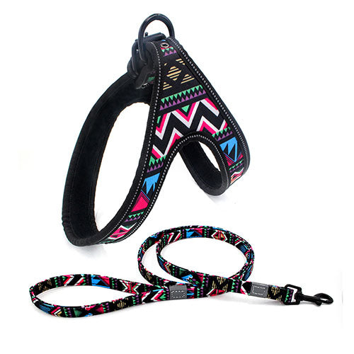 Colourful Explosion-Proof Dog Leash – Strong, Reflective lead for Small, Medium, and Large Dogs