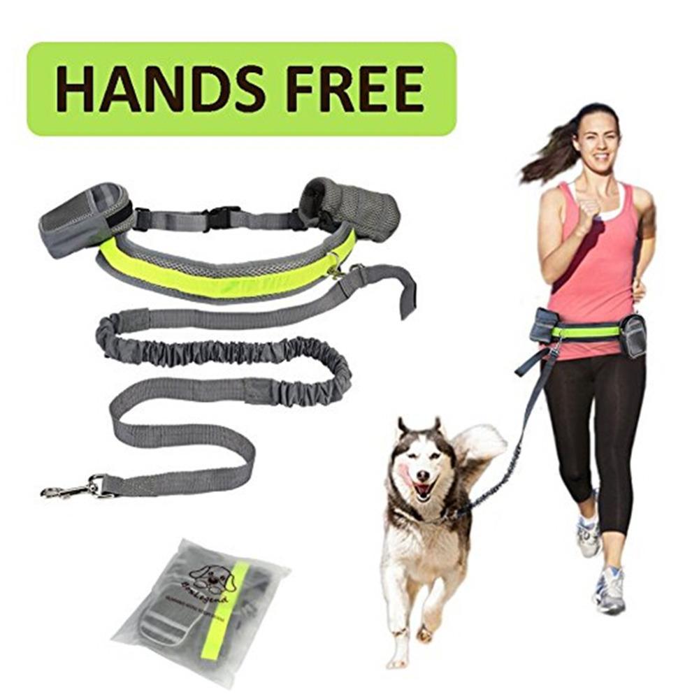 Adjustable Hands-Free Dog Leash – Walk, Run & Train Comfortably with Your Pup