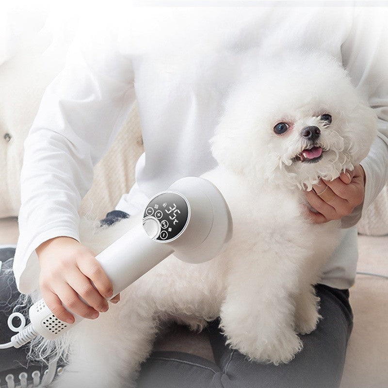 Gentle Pet Hair Dryer Brush – Silent, No-Harm Grooming for Cats & Dogs