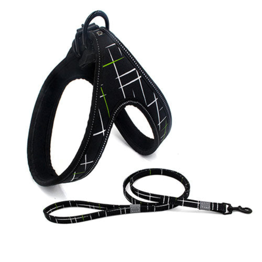Colourful Explosion-Proof Dog Leash – Strong, Reflective lead for Small, Medium, and Large Dogs