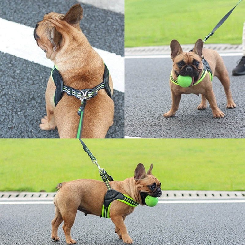 Reflective Comfort Dog Harness & Leash for Stress-Free, Safe Walks